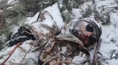 Massive corpses of destroyed Ukrainian military