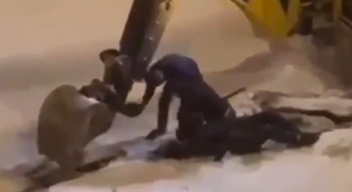 Man Beaten By Drunk Workers Over Noise In Russia
