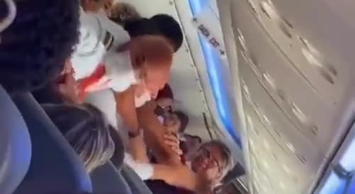 Idiots fighting on plane