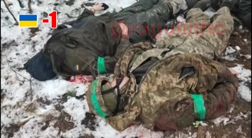 Eight corpses in the destroyed Ukrainian military in captured positions