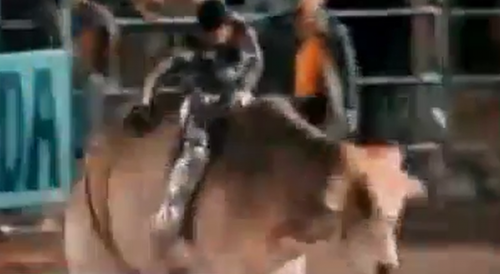 Spine Breaking Bull Ride In Mexico