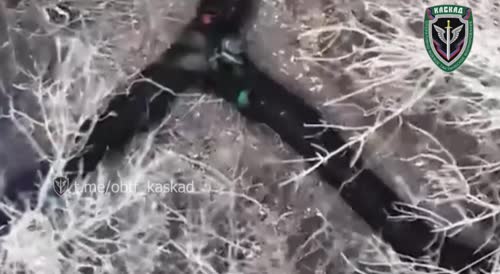 Shrapnel from a grenade hit a Ukrainian militant