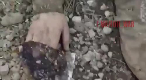 The corpses of two destroyed Ukrainian soldiers