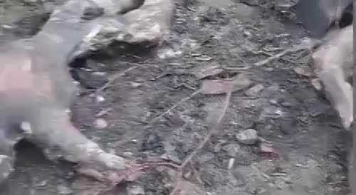 Destroyed militants of the Ukrainian troops