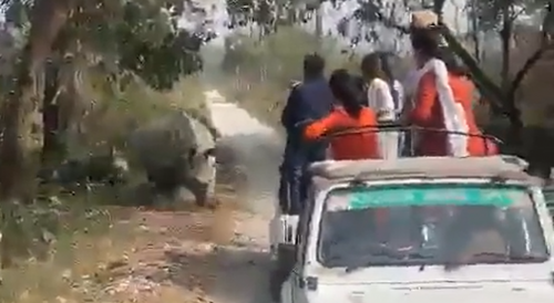Another Angle of that Rhino Attack
