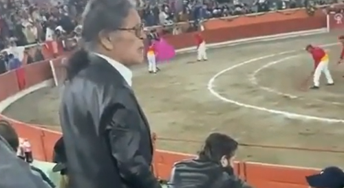 Bull Show Spectator Pees In Stands