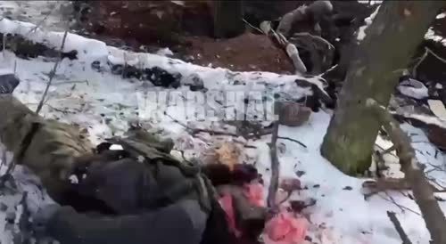 Soldiers Killed By Shelling