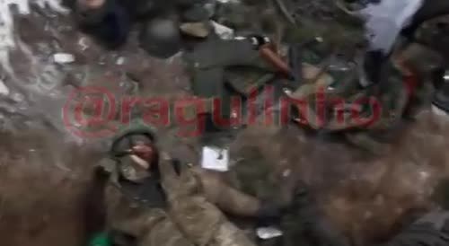 Many corpses of Ukrainians in the positions captured by Russia