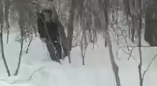 Dude Is Found Hung In Winter Woods