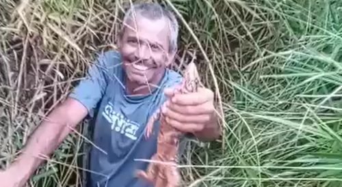Lizzard Bites A Man With A Stupid Smile