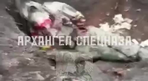 Destroyed and captured Ukrainians