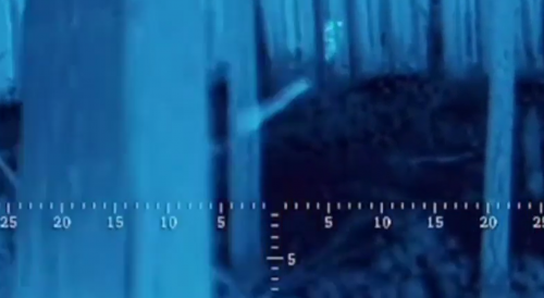 Destruction of 3 Ukrainian Saboteurs via Night Sight Sniper