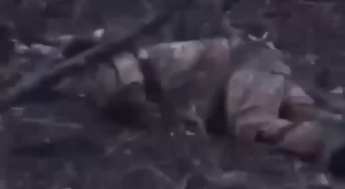 Dead Ukrainian soldiers, with a chevron in their mouths, near a destroyed tank
