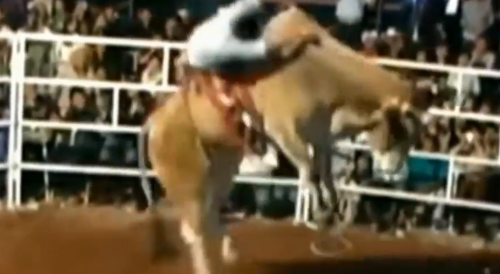 Huge Bull Shows Rider No Mercy