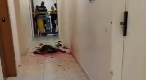 It's Like a Video Game: FPS Execution of a Brazilian Cop