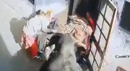 Bull Attacks Group Of Old Women In India