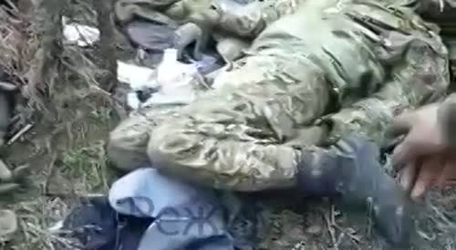 Russian soldiers examine and rejoice at the corpses of Ukrainian militants