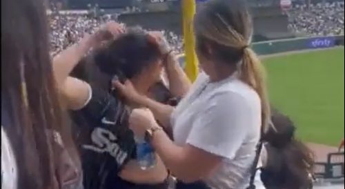 Massive Fan Fight Breaks Out at White Sox Game