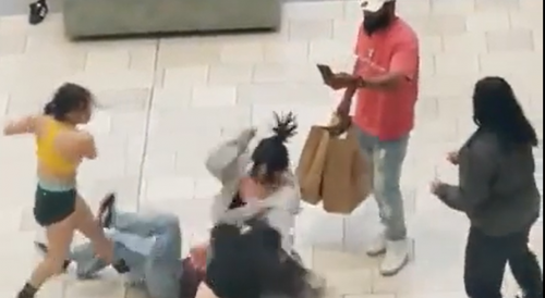Girls Get Into A Fight Inside The Mall In California
