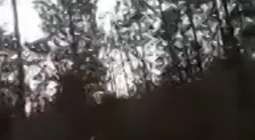 Russians filming themselves in Ukraine before a direct hit, followed by screams.