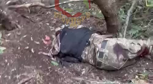 Ukrainian Fighters Killed In Battle