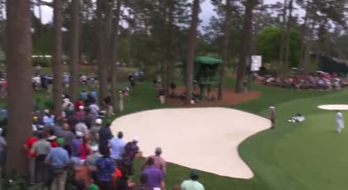 A large tree almost crushed a crowd of people during the master golf tournament