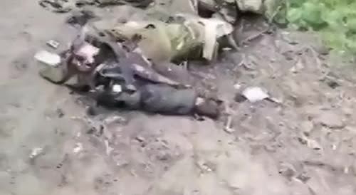 Ukr Soldiers Killed In Battle