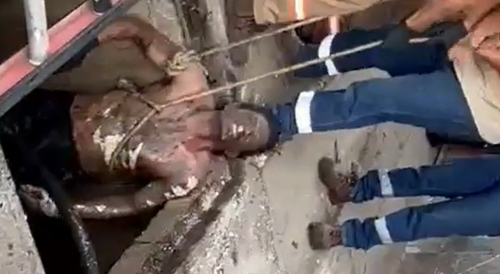 Cable Thief Steals His Last Wire