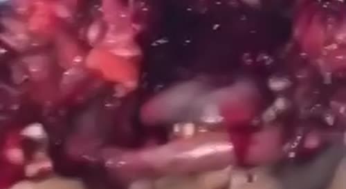 man gets rammed in the face by a bull)repost)