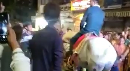 Man Killed By The Horse