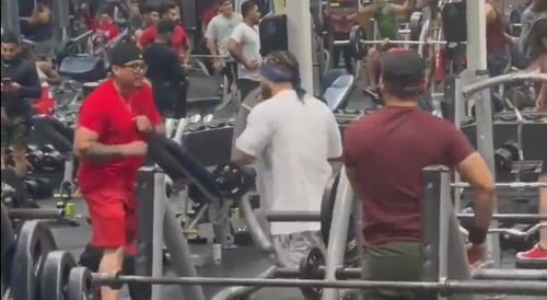 Meatheads Fighting in the Gym is Always Entertaining