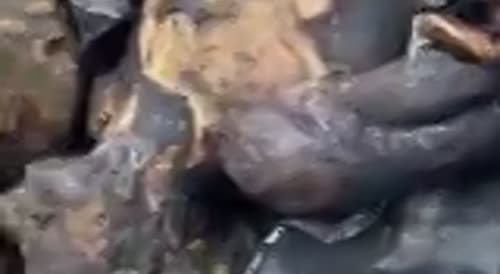 Three Robbers Burnt By Mob In Uganda