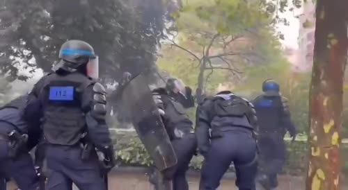 Paris Protest Police In A Pickle