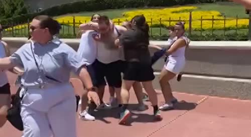 Group Fight At Disneyland
