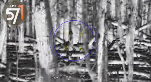 Russian Snipers Hunt Ukrainians Between the Trees