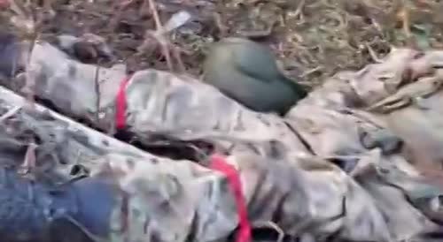 Russian bum army fighting in Ukrainian armed forces socks