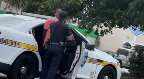 Handcuffed Florida Man Punched By Female Cop After Domestic Abuse Call