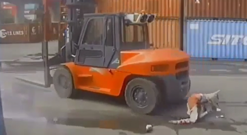 The Fork Lift Always Wins