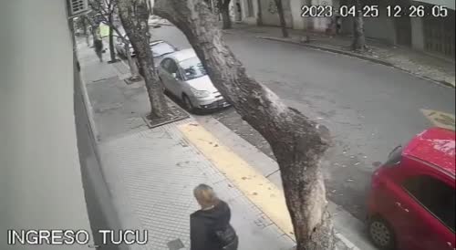 Tree falls on pedestrian