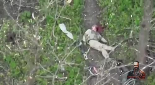 Another invader gets his face blown off by ukrainian drone
