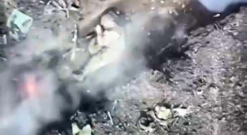 Invader destroyed by accurate bomb drop from Ukrainian drone