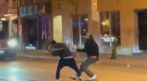 WTF: Toronto man beats man with a real SNAKE