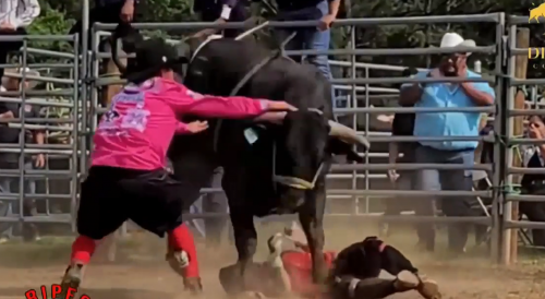 The Bull "El Diablo"  Takes Another Life