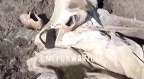 Bodies of decomposing invaders in mud