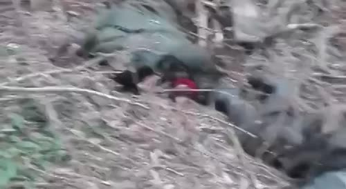Results of storming of invader positions by Ukrainian armed forces