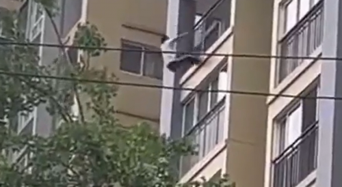 Balcony Jumper Goes Out in Style
