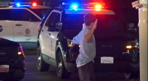 RAW: LA Teens Arrested After Stolen Car Crashes Into Flower Shop