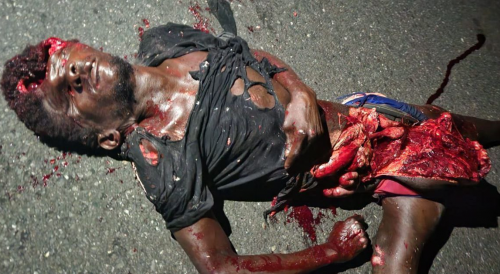 Jamaican Roadkill