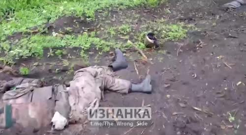 20 dead Ukrainians are sunbathing