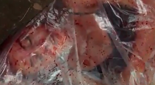 Dead Girl Found Wrapped in Plastic on Brazil Street